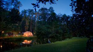 Disney Hotel: Campsites at Fort Wilderness Resort