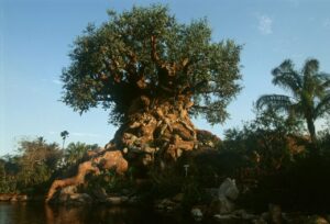 Der Tree of Life in Disney's Animal Kingdom (Florida)