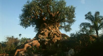 Der Tree of Life in Disney's Animal Kingdom (Florida)
