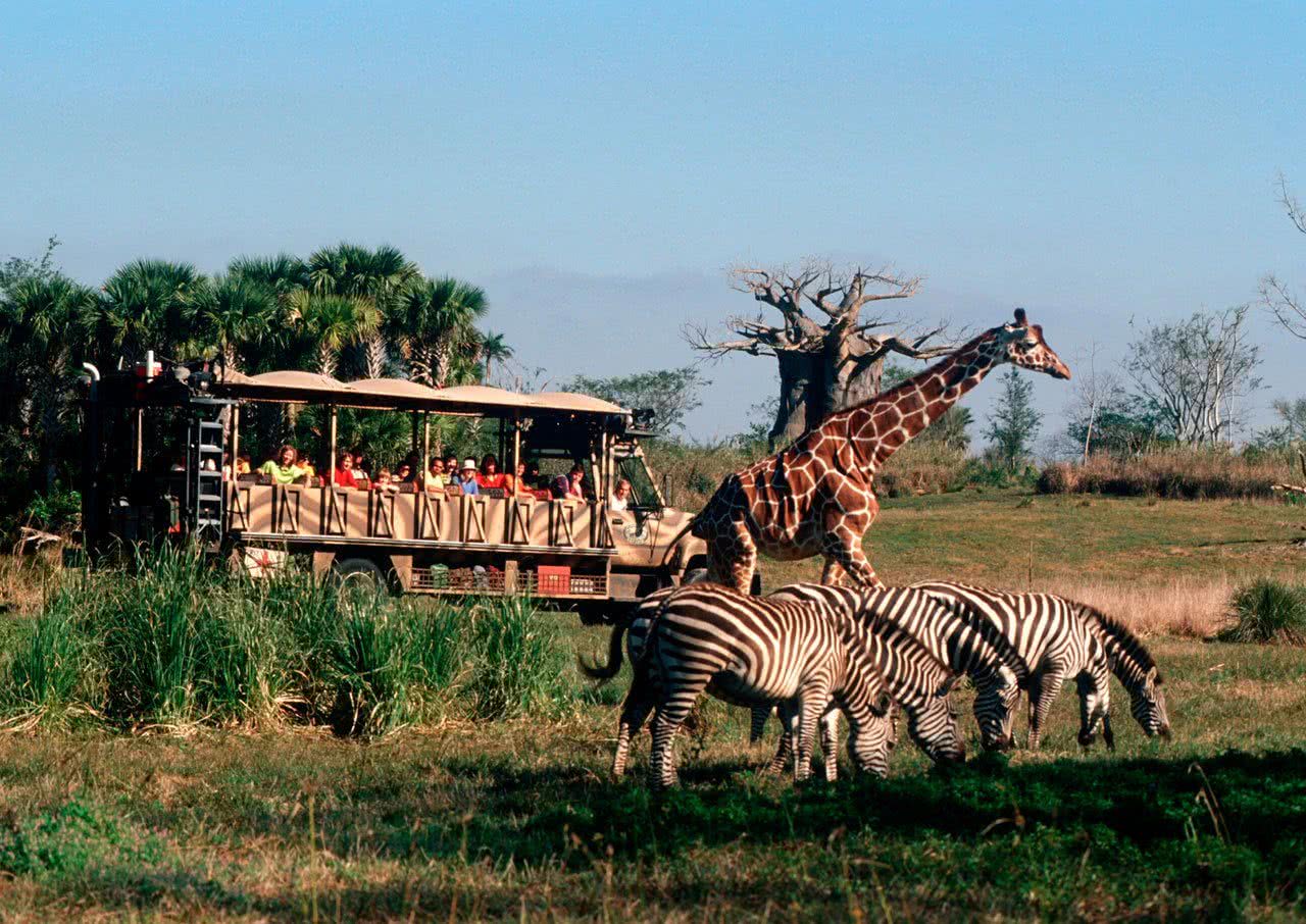 wild animal safari orlando