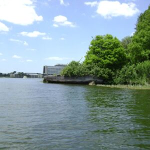 Disney Discovery Island (Florida) - Die Insel