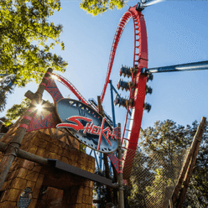 Busch Gardens Tampa: Sheikra