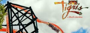 Busch Gardens Tampa Bay Achterbahn Tigris