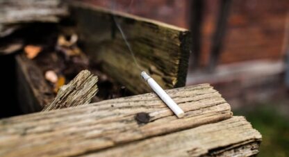 Rauchen Im Walt Disney World