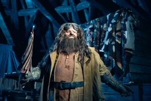 Harry Potter: Hagrid Achterbahn Hagrid Animatronic
