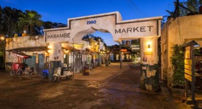 Harambe Market Animal Kingdom