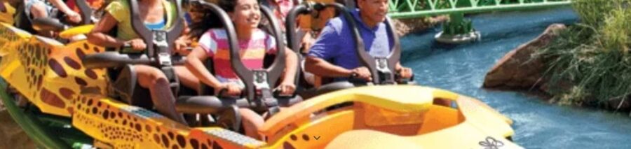 Wann öffnet Busch Gardens Tampa Bay nach Corona?