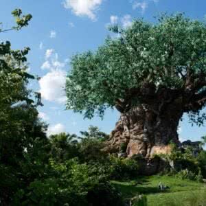 Disney's Animal Kingdom - Tree of Life