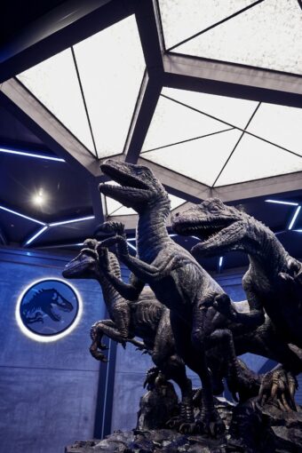 Eröffnungsdatum für Jurassic World VelociCoaster: Wartebereich