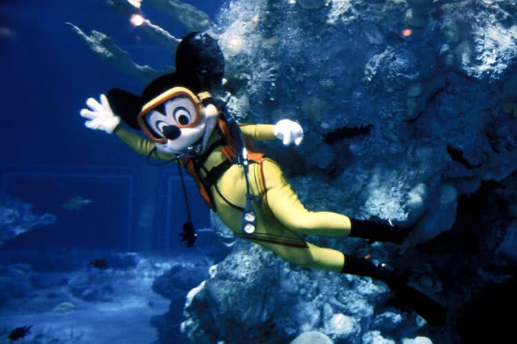 The Living Seas eröffnet mit einem 215-Hektoliter-Aquarium - damals das grösste der Welt - mit mehr als 200 Arten von Meeresbewohnern.