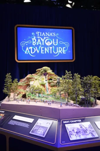 Update: Tiana’s Bayou Adventure Model