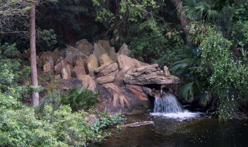 Dragon Rock im Animal Kingdom