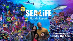 Neue Attraktion: Sea Life Florida Resort