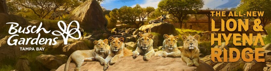 Neuer Bereich: Lion & Hyena Ridge im Edge of Africa
Eröffnung: noch nicht bekannt