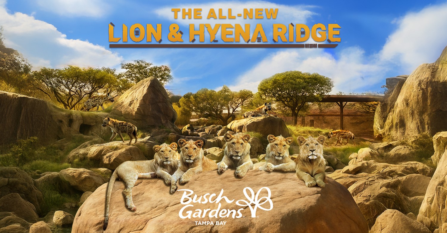 Werbegrafik für Lion & Hyena Ridge mit fünf Löwen auf einem Felsen liegend im Vordergrund, weiter hinten sind Hyänen zu sehen