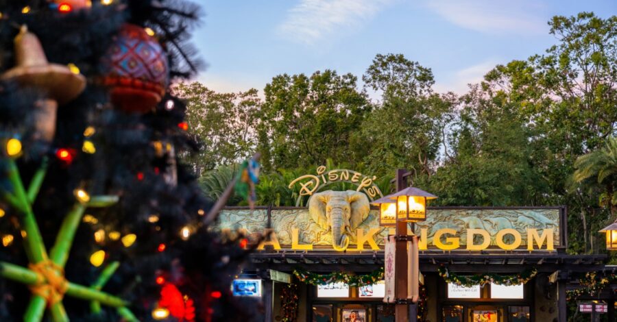 Weihnachtsbaum vor dem Eingang zum Animal Kingdom